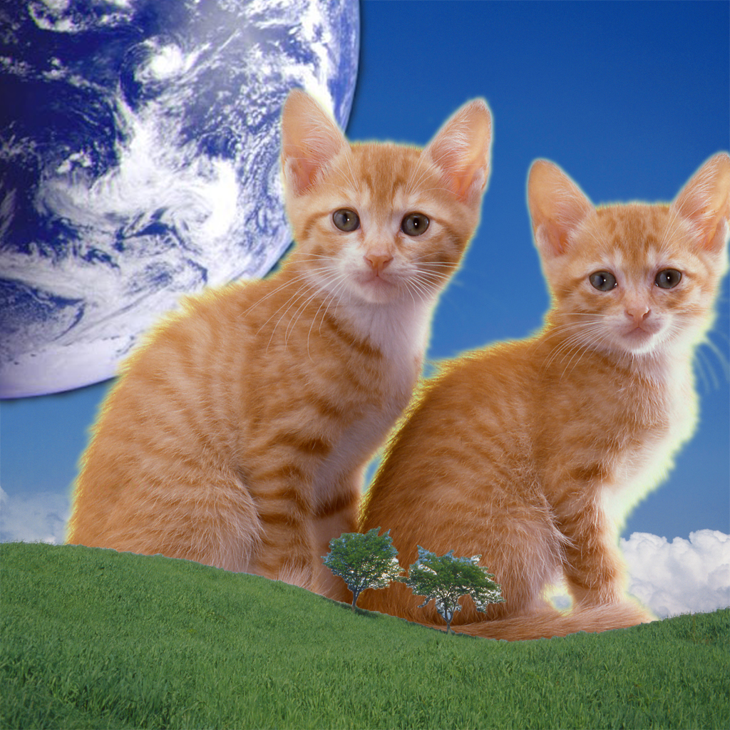 HyperBlender01 HyperBlender snapshot